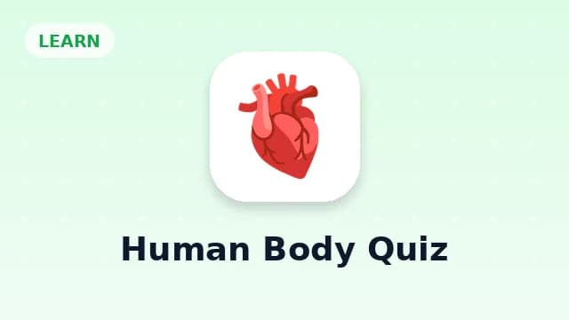 Human Body Quiz